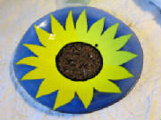 large_sunflower_9-11.jpg